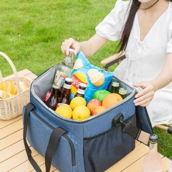 Wholesale Portable Cooler Bag 600d Oxford Cloth for Camping Drinks Food Travel Barbecue Made of Durable Polyester(10L)