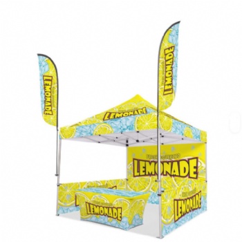 Custom Printed Aluminum 3x3 Foldable Luxury Tent for Outdoor Events Canopy Oxford Durable Portable Trade Show Exhibition Tent