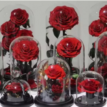 Wholesale Christmas Valentine's Day Eternal Forever Roses with Stems Preserved Flower Real Natural Preserved Roses in Glass Dome